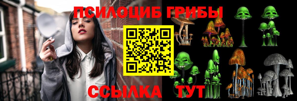 цена   Вход с VPN  Электрогорск  Галлюциногенные грибы мицелий 